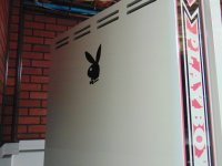 Playboy behind backbox (bunny).JPG