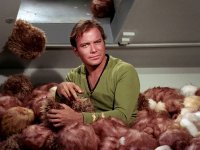 tribbles.jpg